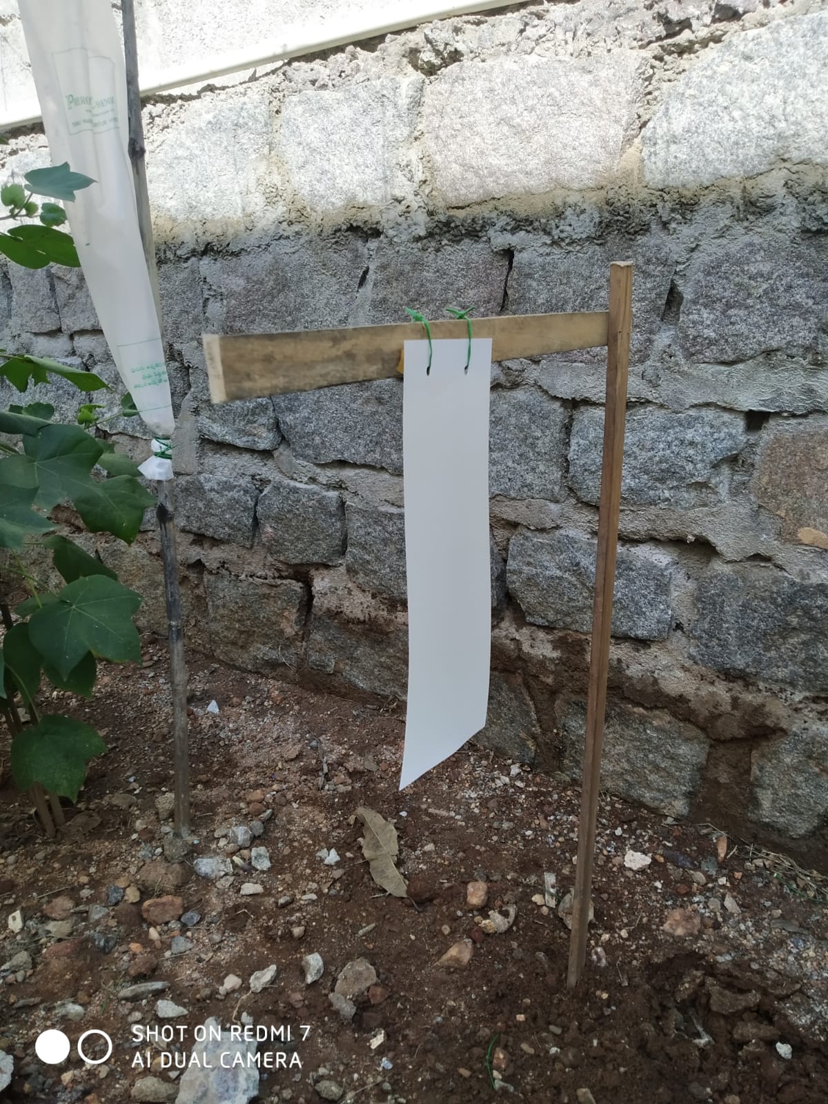 Tomato Total Protection for 1-Acre
