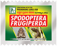 frugiperda-5