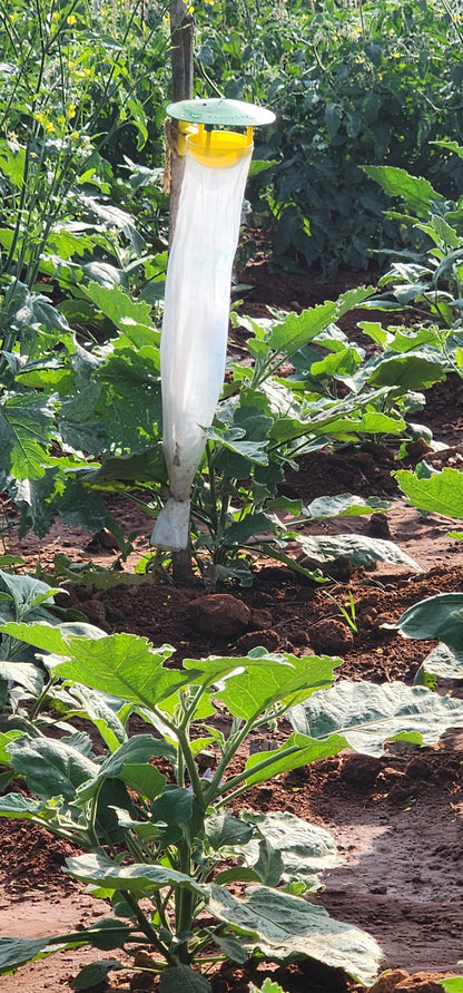 Tomato Total Protection for 1-Acre