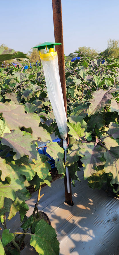 Tomato Total Protection for 1-Acre