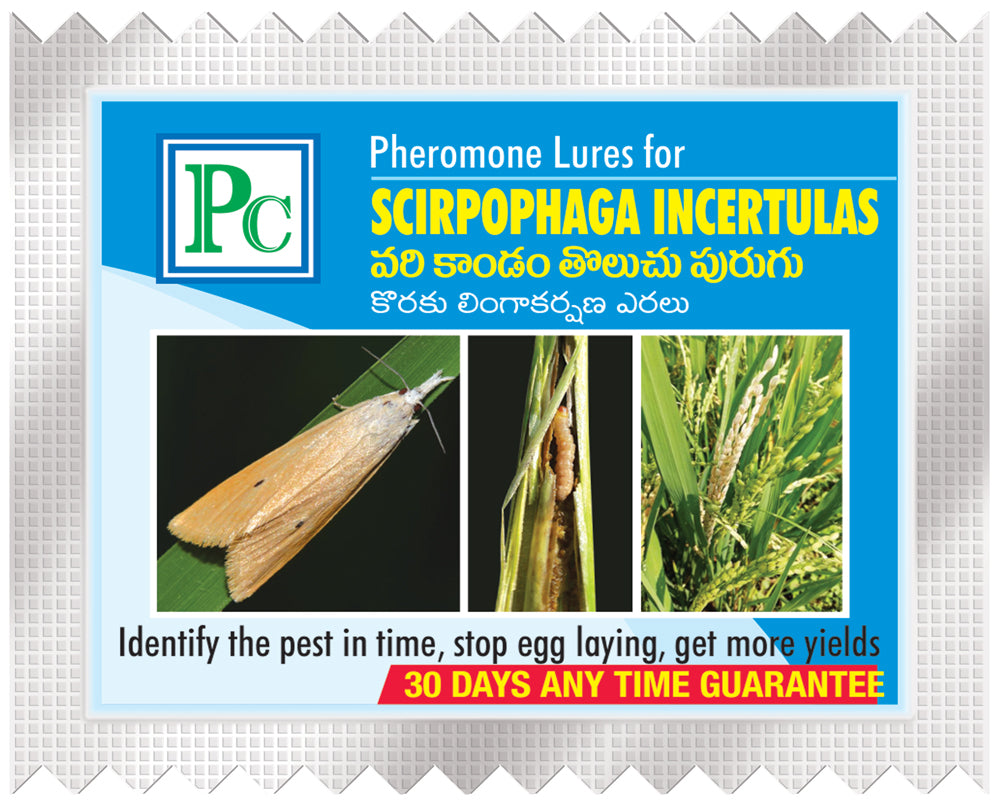 Scirpophaga incertulas (Rice Yellow stem borer) Lure