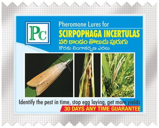 Scirpophaga incertulas (Rice Yellow stem borer) Lure
