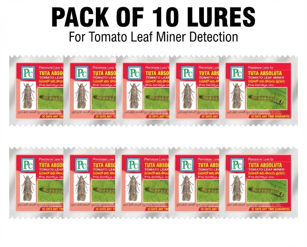 Leucinodes orbonalis Pheromone Lure (Brinjal Fruit and Shoot borer)