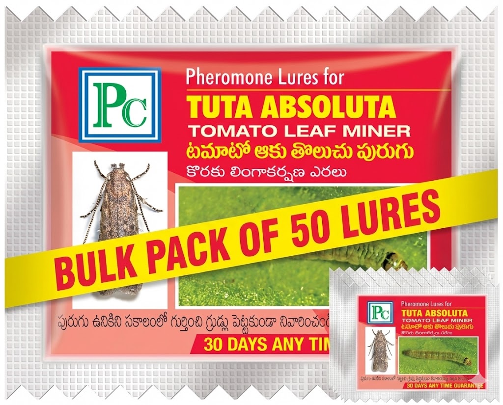 Leucinodes orbonalis Pheromone Lure (Brinjal Fruit and Shoot borer)