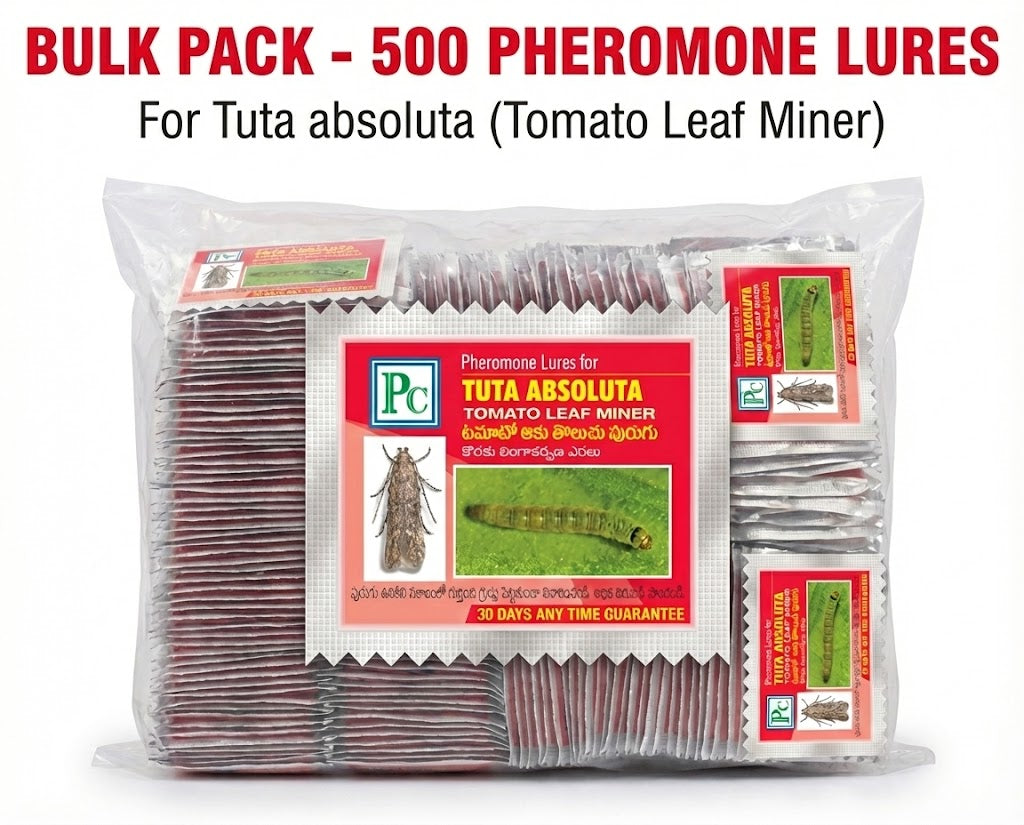 Leucinodes orbonalis Pheromone Lure (Brinjal Fruit and Shoot borer)