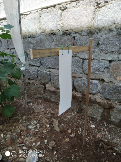 Tomato Total Protection for 1-Acre