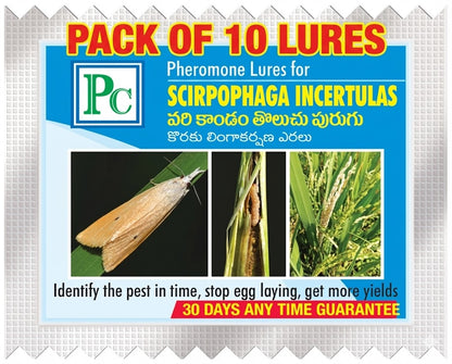 Scirpophaga incertulas (Rice Yellow stem borer) Lure