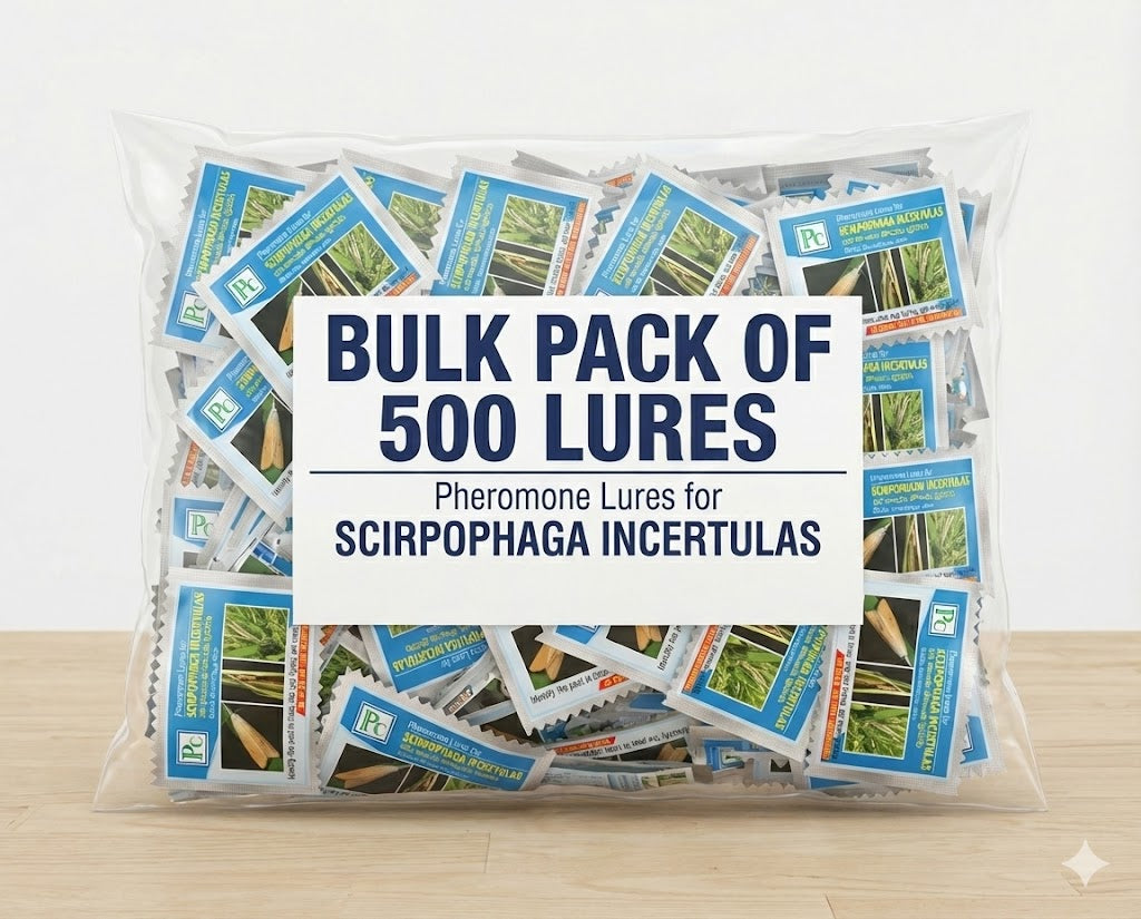 Scirpophaga incertulas (Rice Yellow stem borer) Lure