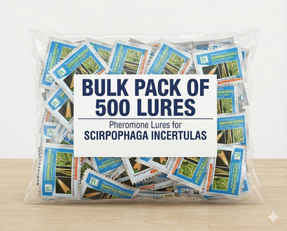 Scirpophaga incertulas (Rice Yellow stem borer) Lure