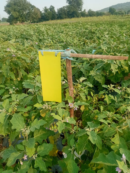 Tomato Total Protection for 1-Acre