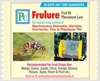 frulure-5