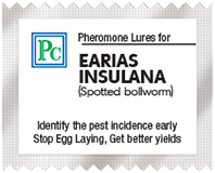 insulana-4