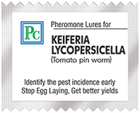 lycopersicella-4