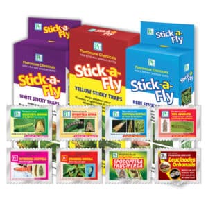 Sticky Trap Combo Packs